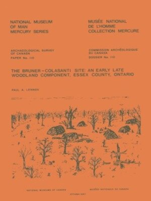 cover image of Bruner-Colasanti Site